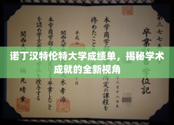 诺丁汉特伦特大学成绩单，揭秘学术成就的全新视角