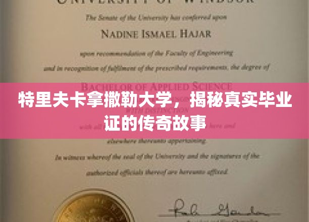 特里夫卡拿撒勒大学，揭秘真实毕业证的传奇故事