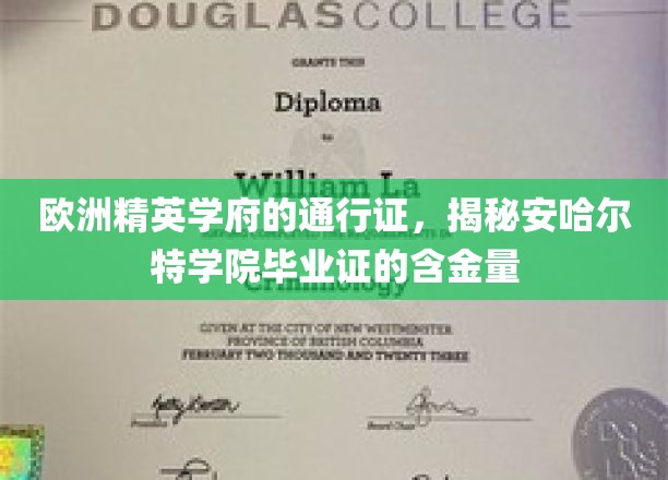 解码安哈尔特学院，欧洲精英学府的黄金通行证
