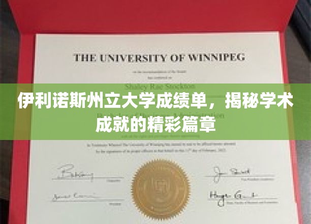 伊利诺斯州立大学成绩单，揭秘学术成就的精彩篇章