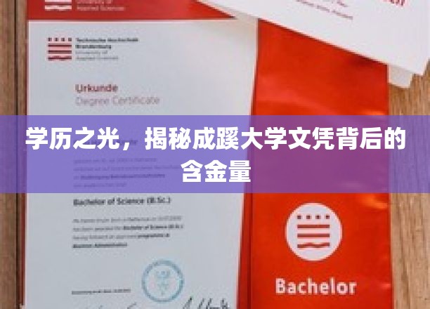 成蹊文凭价值揭秘，一纸文凭背后的深厚底蕴与无限可能