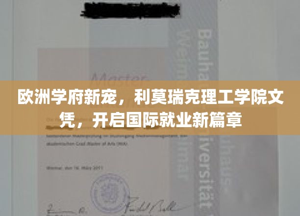 欧洲精英教育新航标，利莫瑞克理工学院文凭，助力全球职场飞跃
