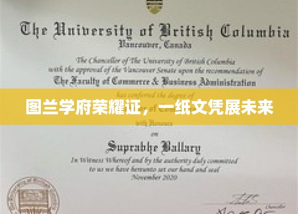 图兰学府荣耀证书，一纸文凭展未来