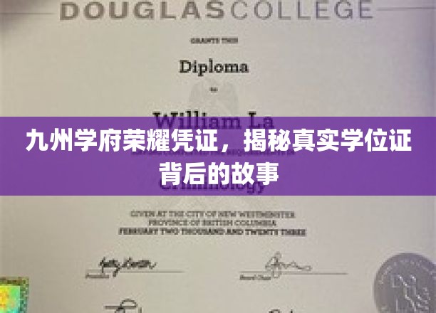 九州学府神秘凭证，一纸学位证背后的传奇故事