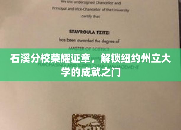 石溪分校荣耀徽章，开启纽约州立大学辉煌征程的钥匙