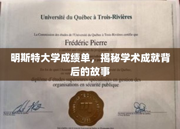 明斯特大学成绩单，揭示学术成就背后的故事