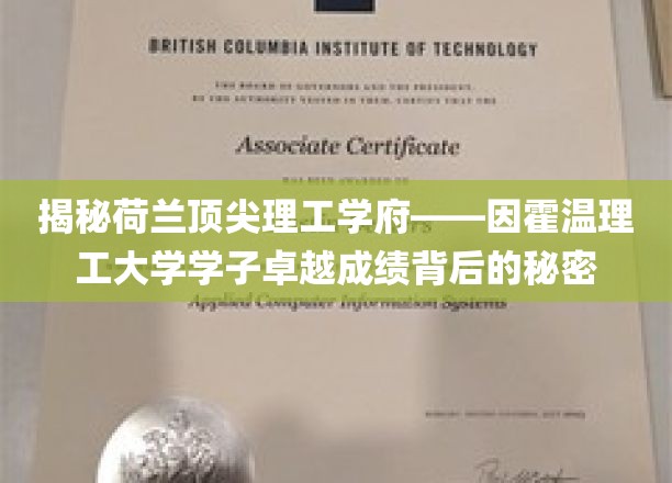 荷兰因霍温理工学子，揭秘卓越成就的神秘动力源泉