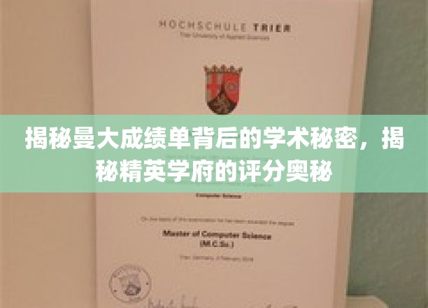 探秘曼大成绩单，解锁精英学府的评分之谜
