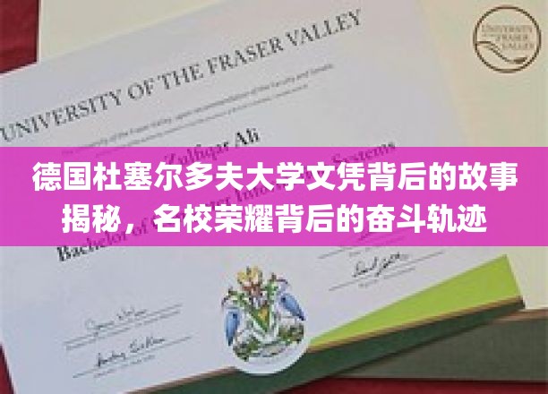 德国杜塞尔多夫大学文凭背后的故事揭秘，名校荣耀背后的奋斗轨迹