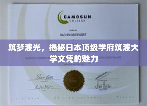 日本筑波大学文凭的光环，探索顶级学府的筑梦力量