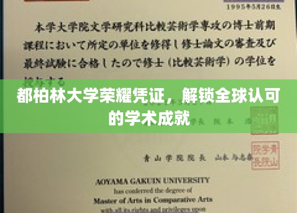 都柏林大学证书，开启国际学术认可的钥匙