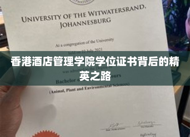 香港酒店管理学院学位证书背后的精英之路