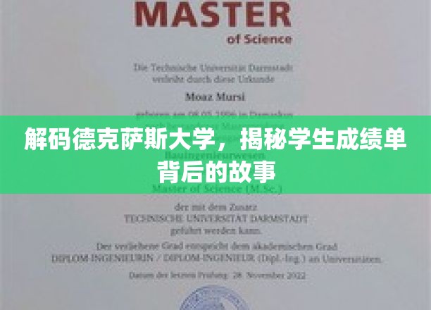 德克萨斯大学揭秘，成绩单背后的秘密世界