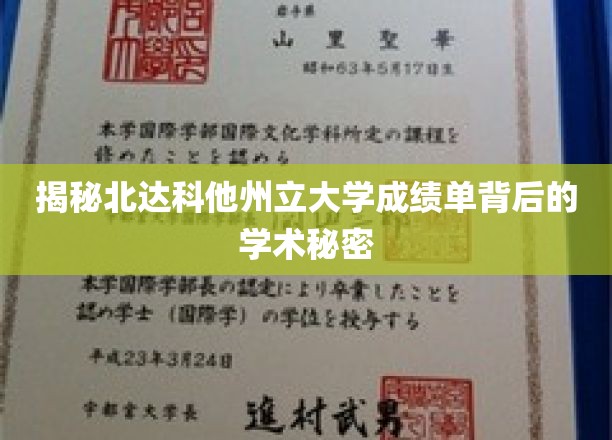 北达科他州立大学成绩单背后的学术秘密