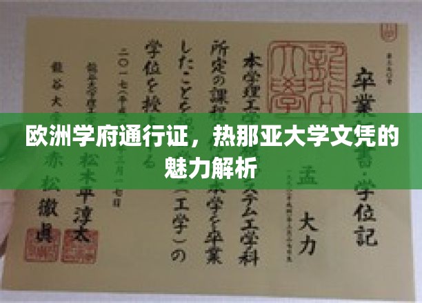 解锁欧洲学术之门，热那亚大学文凭的非凡魅力解读