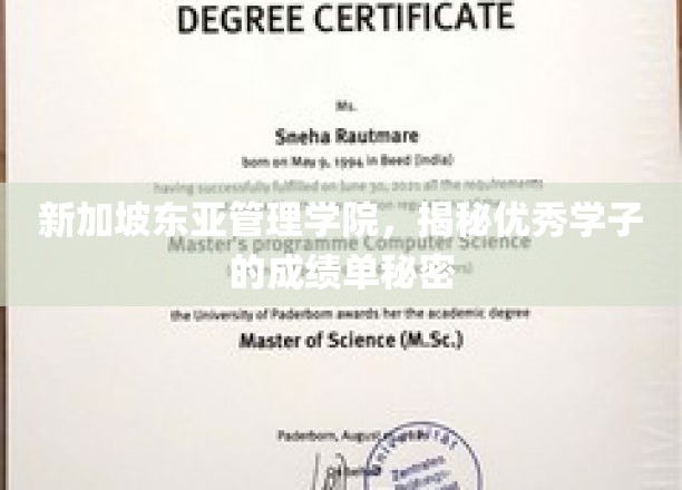 解码新加坡东亚管理学院学霸之路，揭开卓越成绩背后的故事