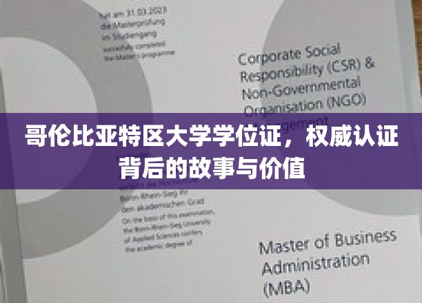 哥伦比亚特区大学学位证，揭秘其权威认证的传奇历程与珍贵价值