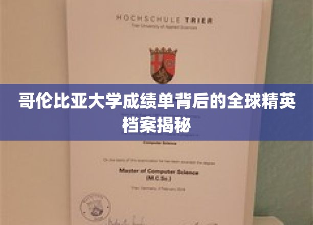解码哥伦比亚大学成绩单，揭秘世界精英的成长轨迹