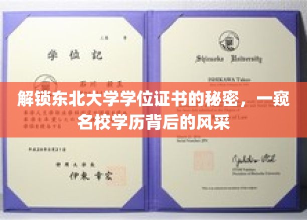东北大学学位证里的秘密，揭秘名校背后的荣耀风采