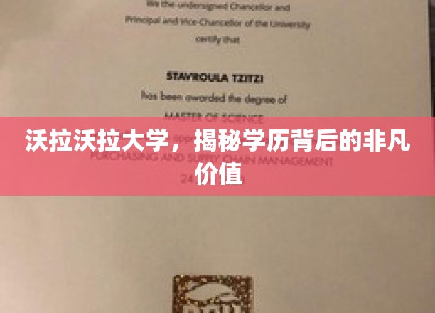 解码沃拉沃拉，探索学历的无尽潜能