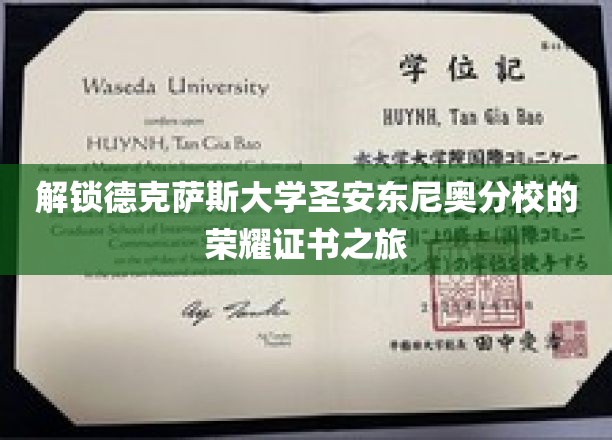 探秘德克萨斯大学圣安东尼奥分校，揭开荣耀证书的神秘面纱