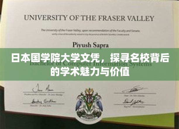 日本国学院大学，揭开文凭背后的学术奥秘与卓越风采