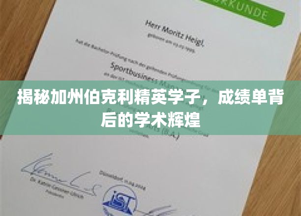 伯克利精英学子，揭秘成绩单背后的学术璀璨之路
