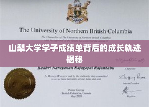 山梨学子成长足迹，揭秘成绩单背后的蜕变之旅