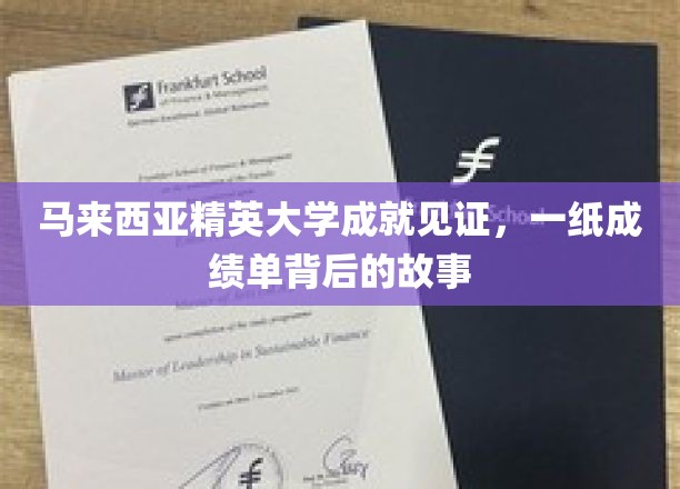 精英之路，马来西亚大学成就背后的精彩篇章