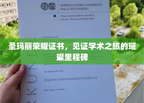 璀璨荣耀，圣玛丽证书映照学术辉煌之路