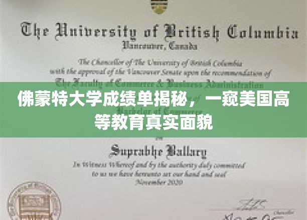 佛蒙特大学成绩单揭秘，一窥美国高等教育真实面貌