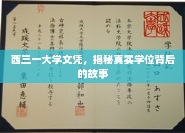 西三一大学文凭之谜，探寻背后的学位传奇