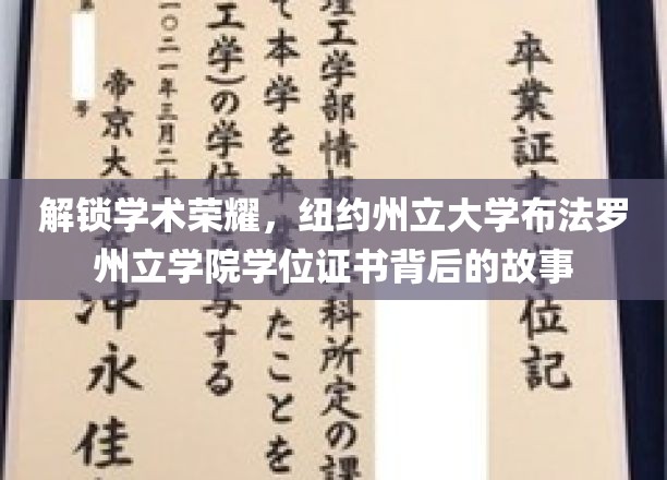 揭秘学术殿堂，纽约州立大学布法罗学院学位证书的传奇历程