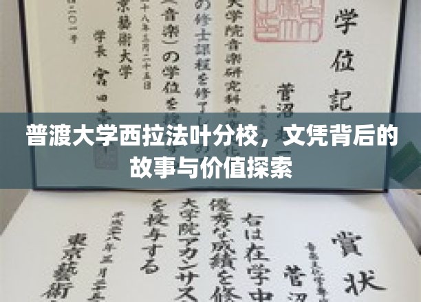 普渡大学西拉法叶分校：文凭背后的故事与价值探索