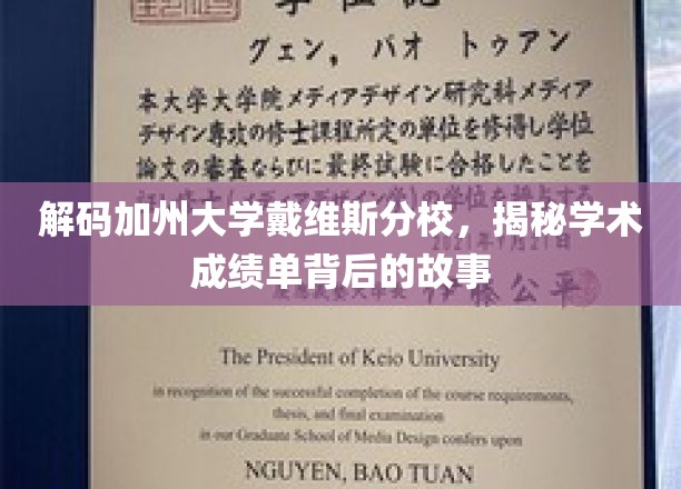 解码加州大学戴维斯分校，揭秘学术成绩单背后的故事