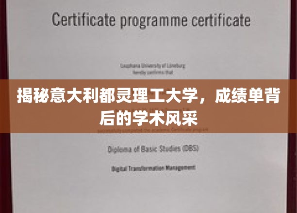 探寻意大利都灵理工大学，成绩单背后的学术魅力