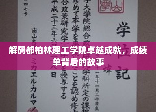 解码都柏林理工学院卓越成就，成绩单背后的故事