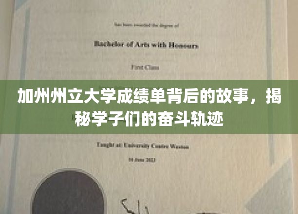 解码加州学子奋斗足迹，加州州立大学成绩单里的秘密人生