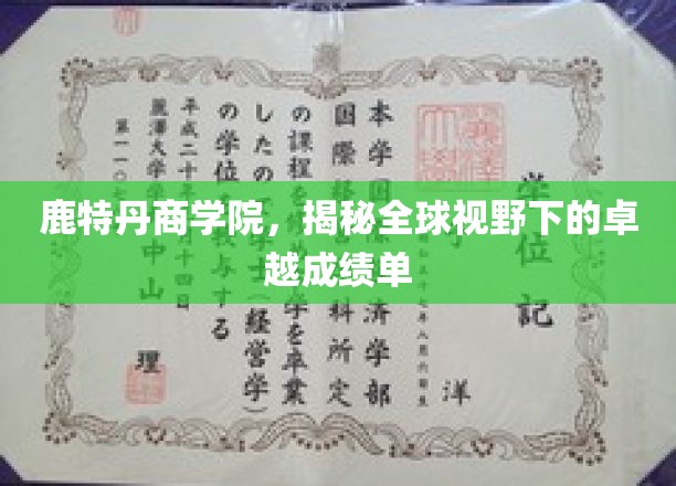 全球视野中的教育典范，鹿特丹商学院的耀眼成绩单揭秘