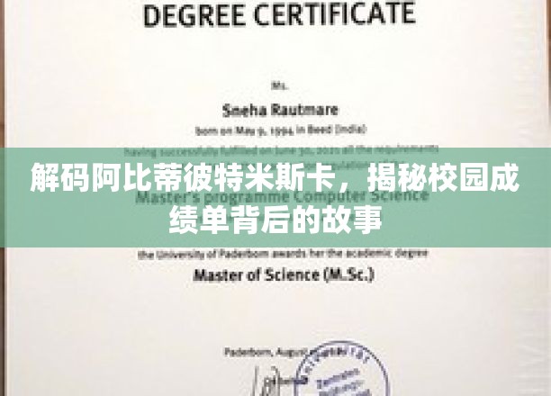解码校园成绩单密码，阿比蒂彼特米斯卡背后的秘密世界