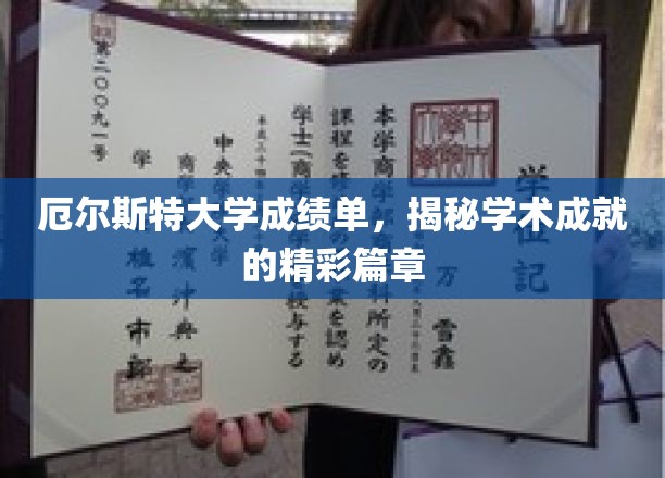 厄尔斯特大学成绩单，展现学术成就的辉煌篇章