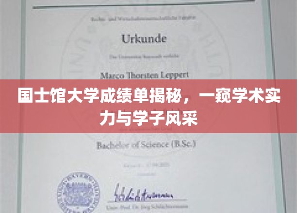 解码国士馆大学，成绩单背后的学术魅力与学子风采全解析