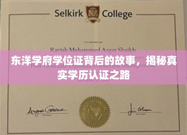 探寻东洋学府学位证之谜，揭秘学历认证的神秘旅程