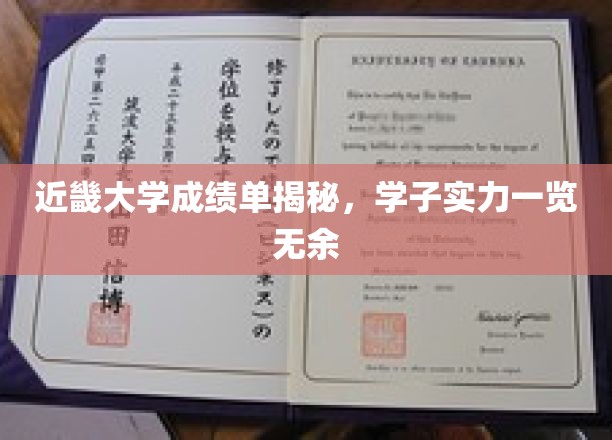 近畿大学成绩单揭秘，学子实力一览无余