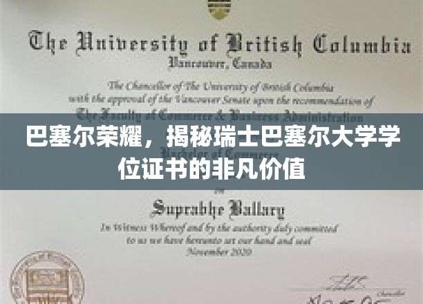 巴塞尔大学证书，闪耀瑞士教育界的璀璨明珠
