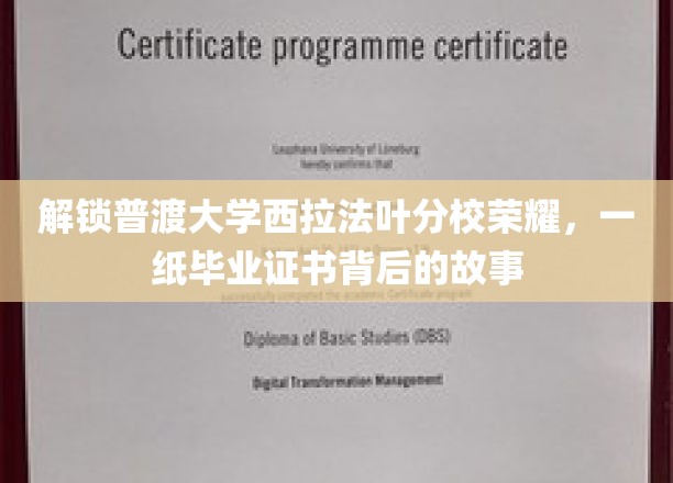 解锁普渡大学西拉法叶分校荣耀，一纸毕业证书背后的故事