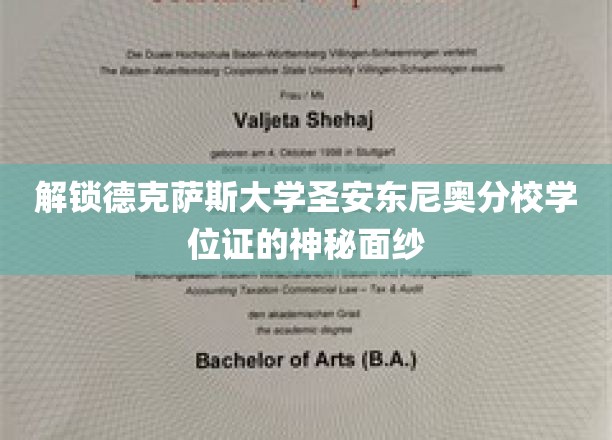 揭开德克萨斯大学圣安东尼奥分校学位证书的神秘面纱