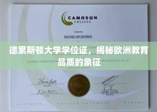 德累斯顿大学学位证，欧洲教育品质的璀璨明珠