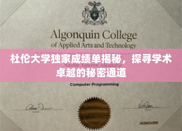 杜伦学府神秘成绩单，揭秘顶尖学术背后的秘密路径