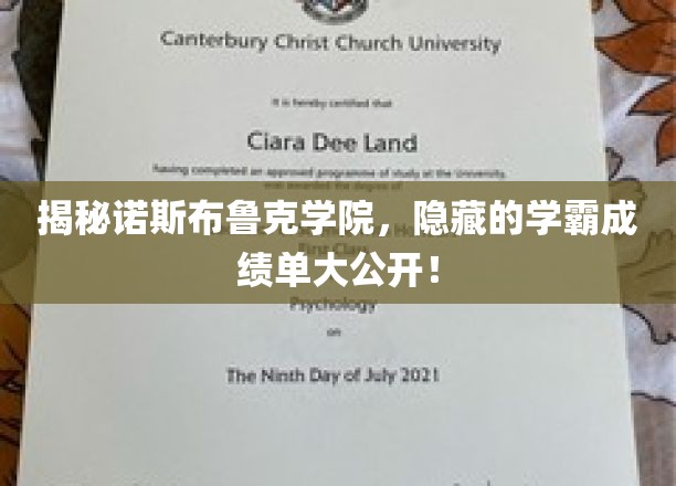 揭秘诺斯布鲁克学院，学霸们的成绩单大公开！